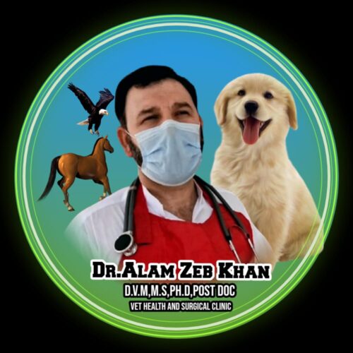 Dr alamzeb khan